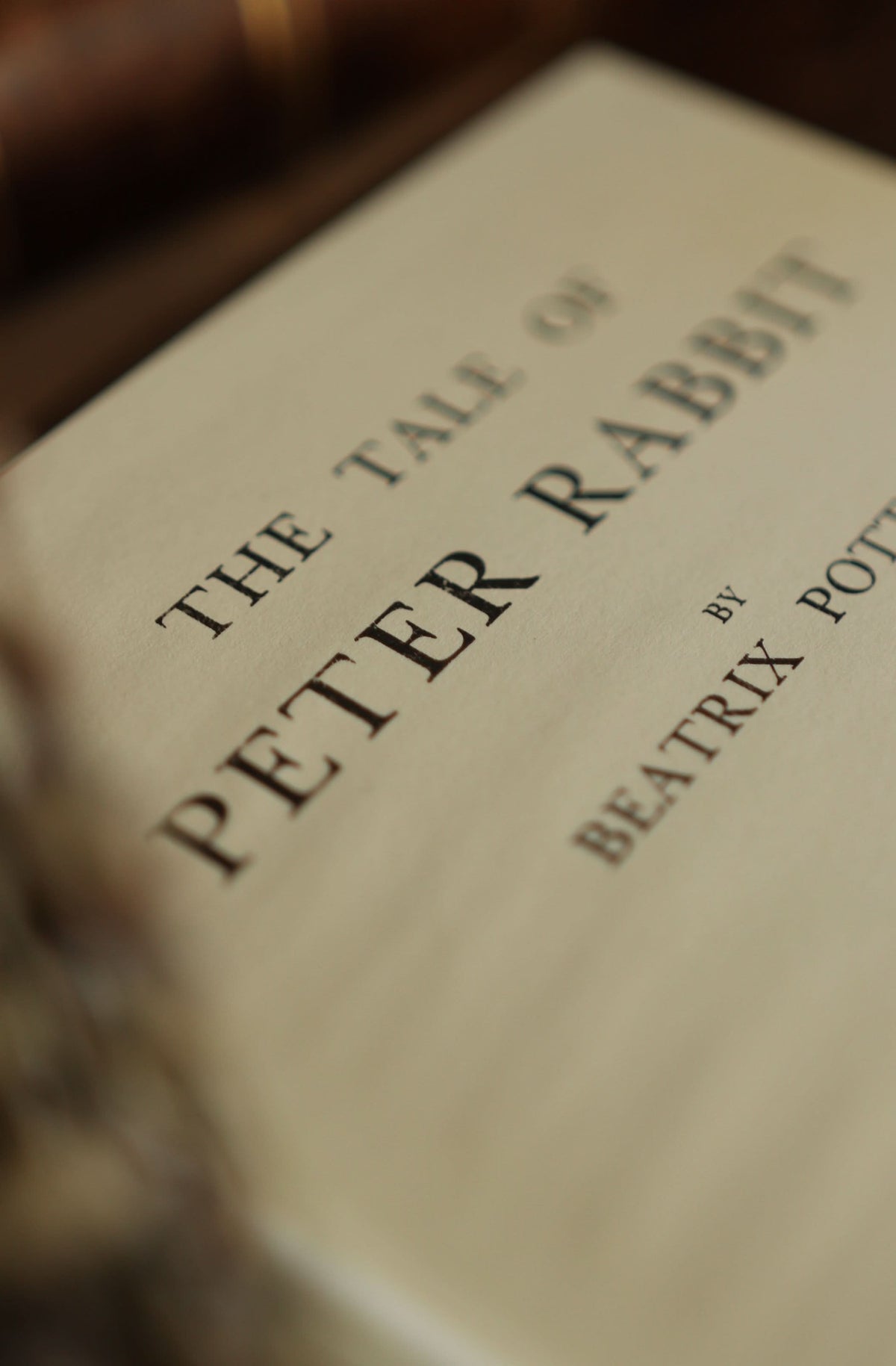 CARNET- Le Conte de Pierre Lapin de Beatrix Potter 1902
