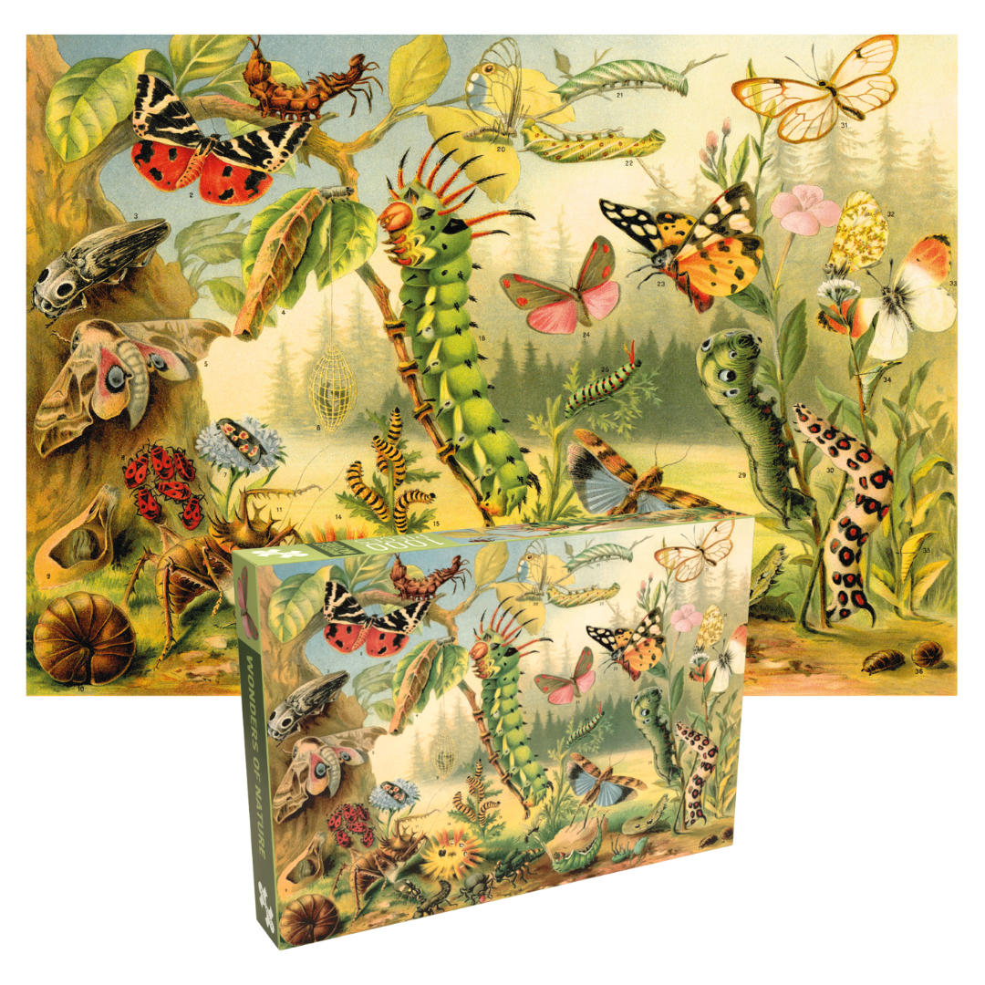 PUZZLE - 1000 pièces - Wonders of nature