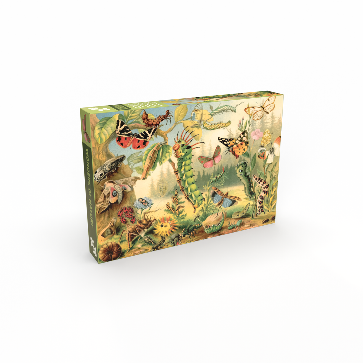 PUZZLE - 1000 pièces - Wonders of nature
