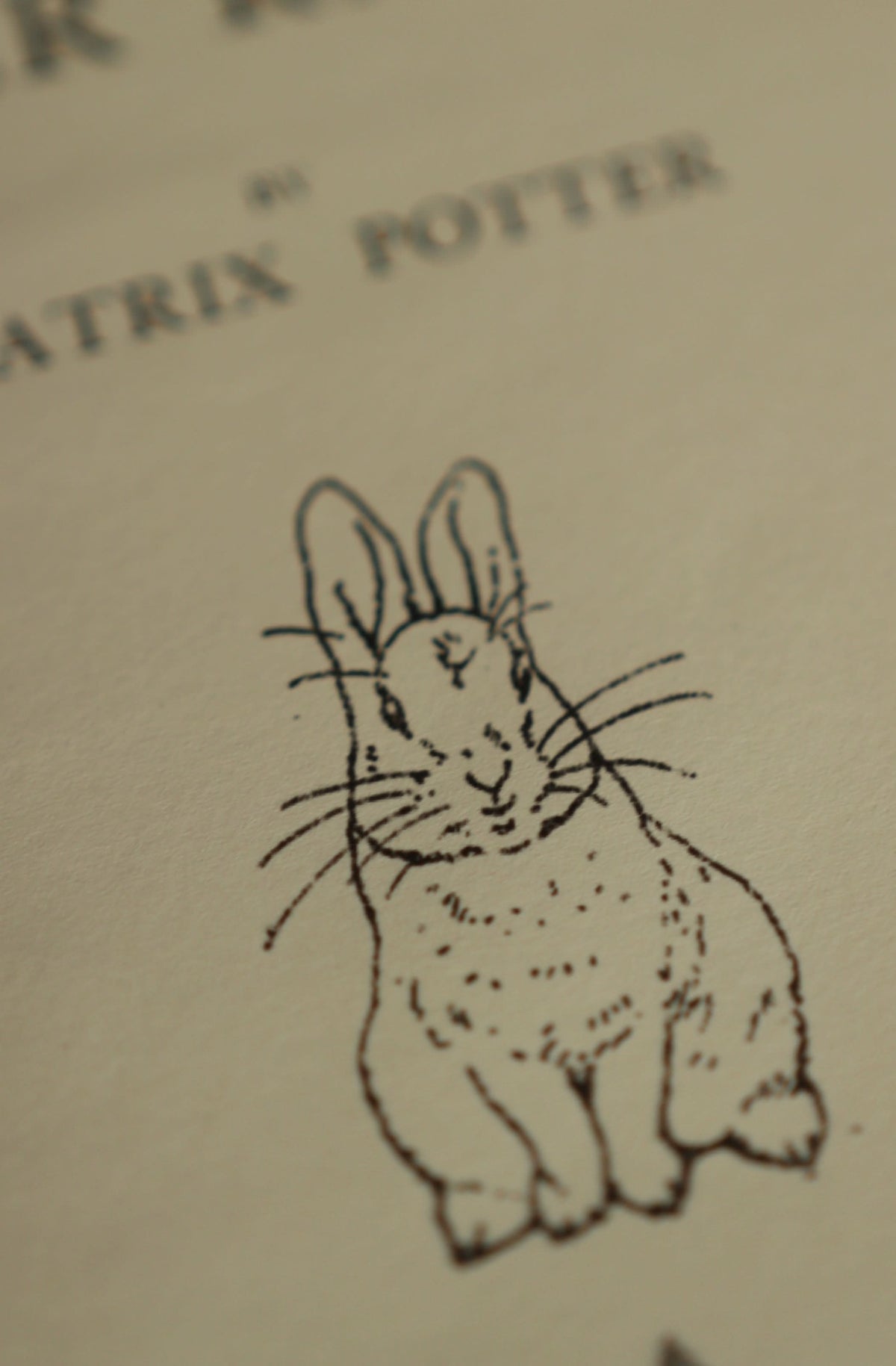 CARNET- Le Conte de Pierre Lapin de Beatrix Potter 1902