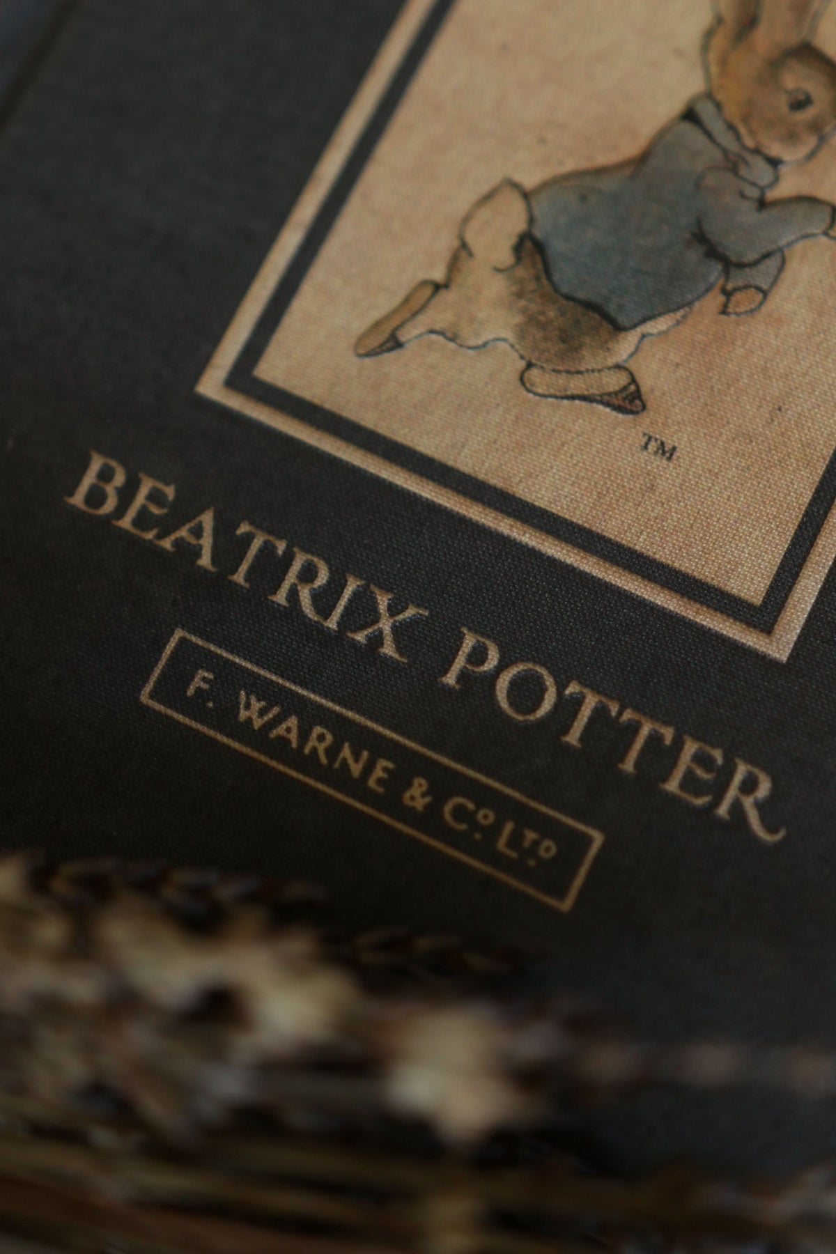 CARNET- Le Conte de Pierre Lapin de Beatrix Potter 1902