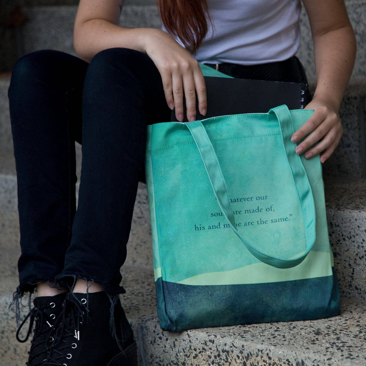 SAC - Les hauts de Hurlevent