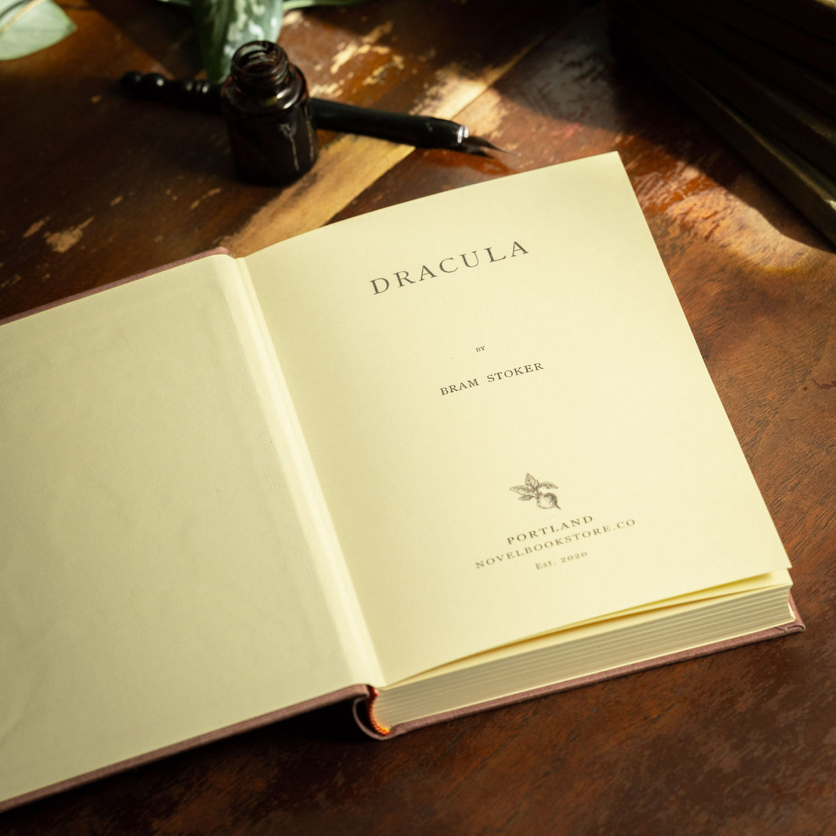 CARNET - Journal du livre Dracula de Bram Stoker 1897