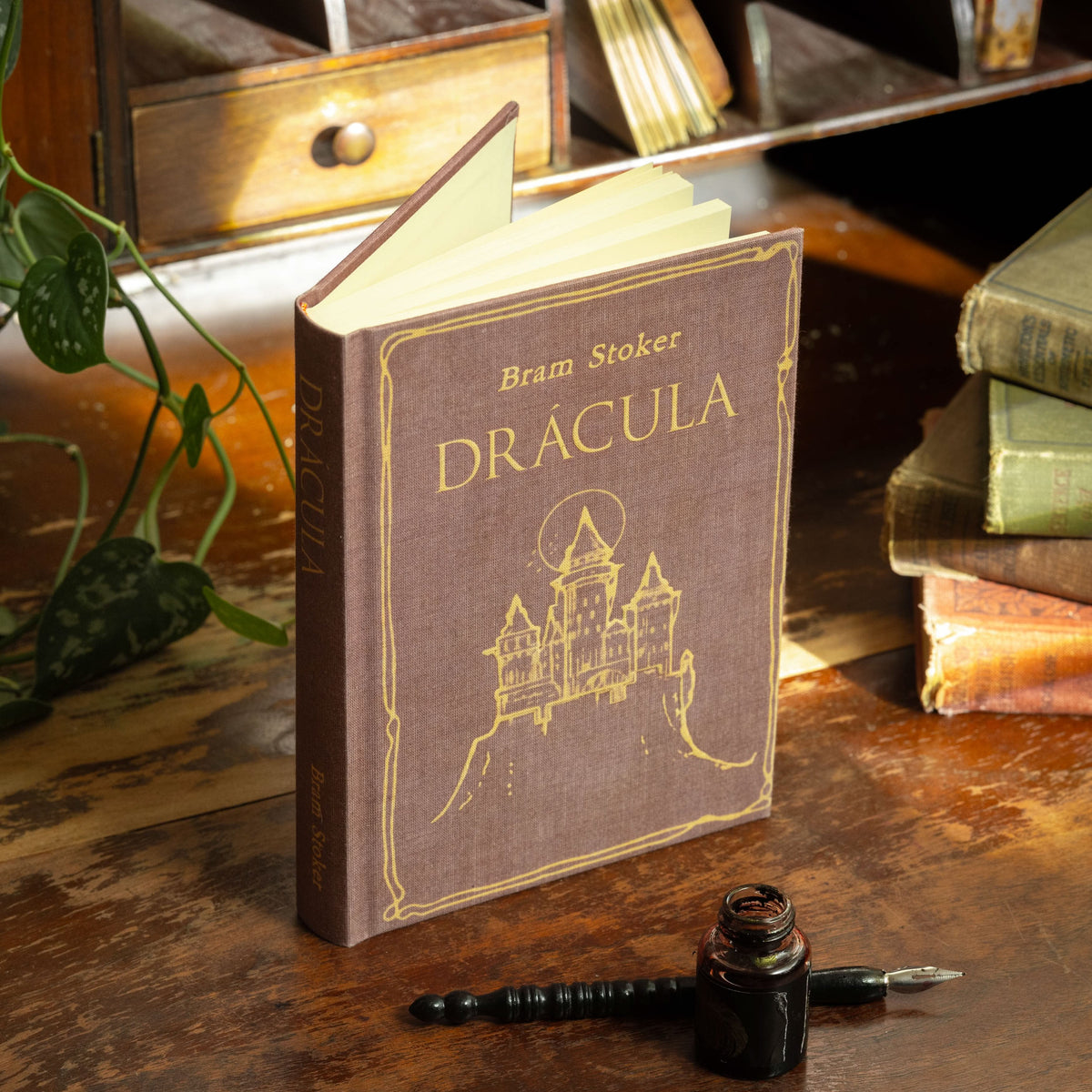 CARNET - Journal du livre Dracula de Bram Stoker 1897